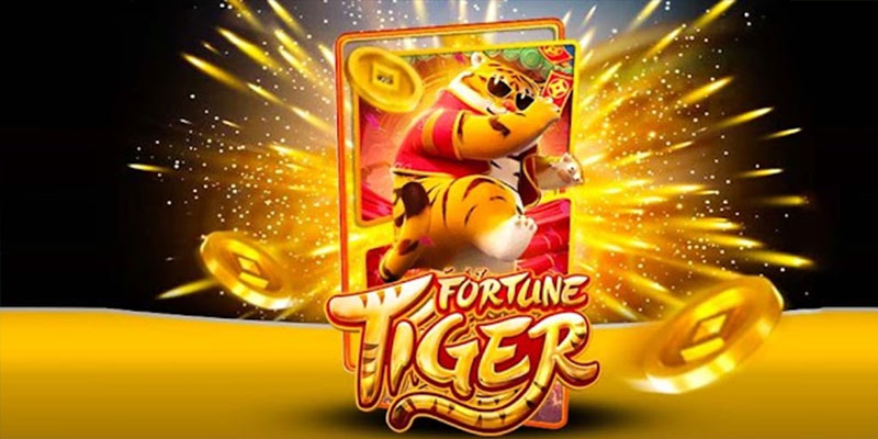 Quem é o Fortune Tiger t111